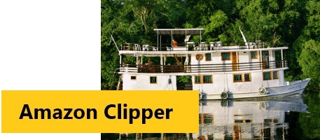 Amazon Clipper - For further details, click here!