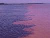 Meeting of the waters (Negro and Solim�es/Amazonas rivers)