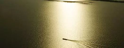 Amazon Emotions - Landscape