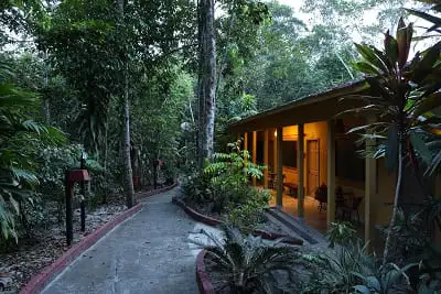 Amazon Ecopark - Superior Plus - Corredor
