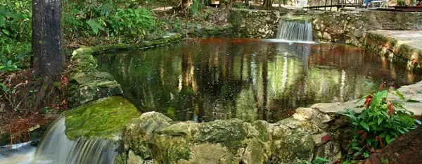  Amazon Ecopark - piscina