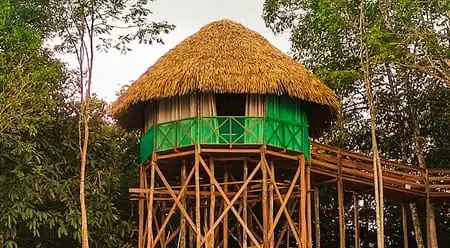 Amazon Tupana Lodge - Oca vista
