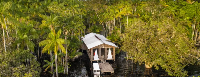  Caboclos House - lodge among the açaí palms 