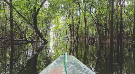 Caboclos House - canoe trip in the igapó
