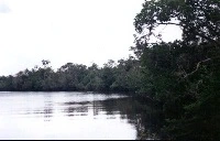 The partial view of high Cuieiras River.