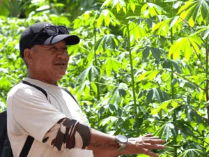 Ecofloating Tour - macaxeira