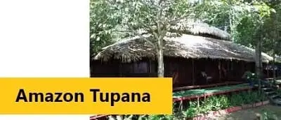 Amazon Tupana Lodge - Click for further info and rates 