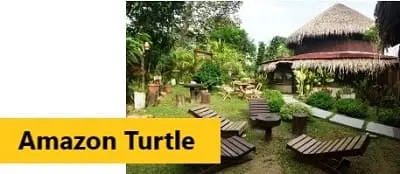 Amazon Turtle Lodge - Click for further info and rates 