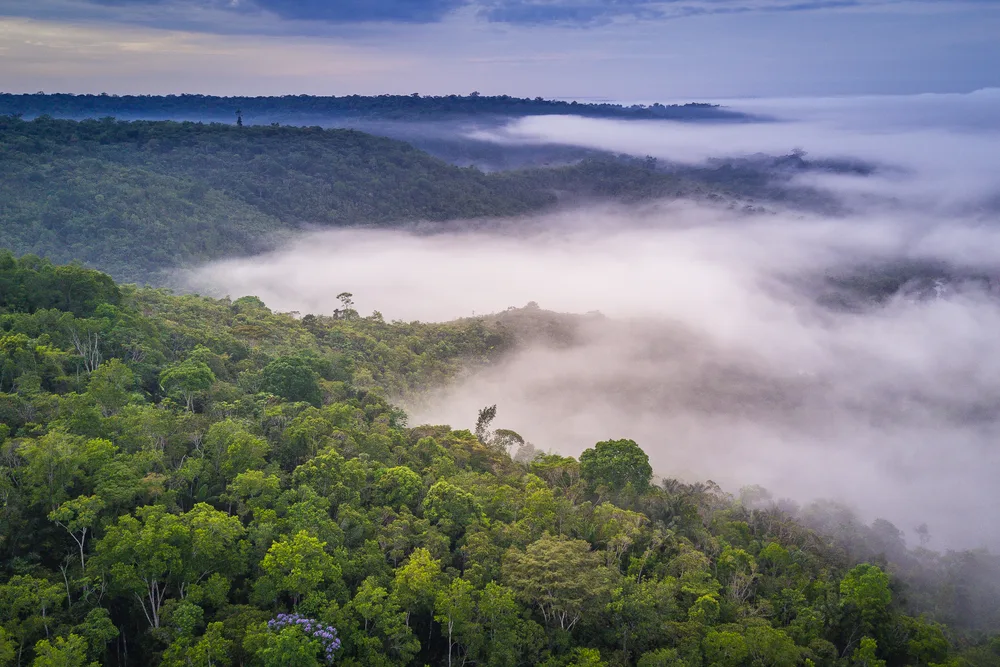  Refuge - aerial view 