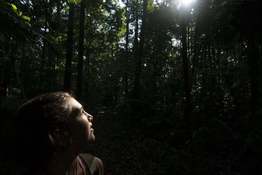  Private Rainforest Refuge - Amazon Glamping - Lower Rio Negro - Hiking