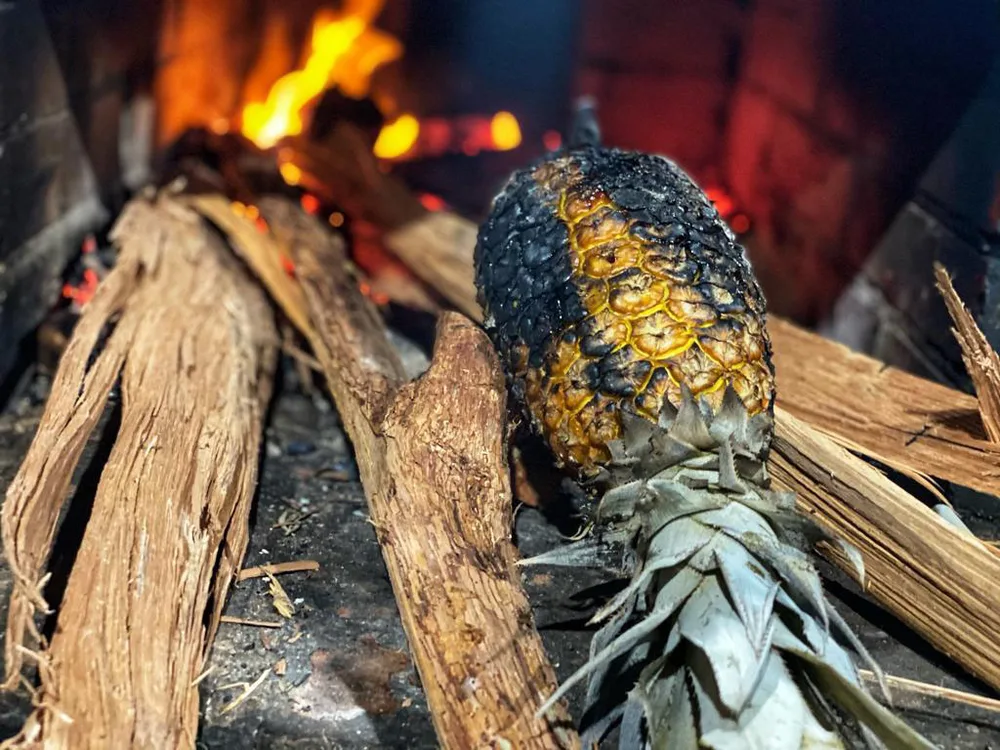  Private Rainforest Refuge - Culinary experience