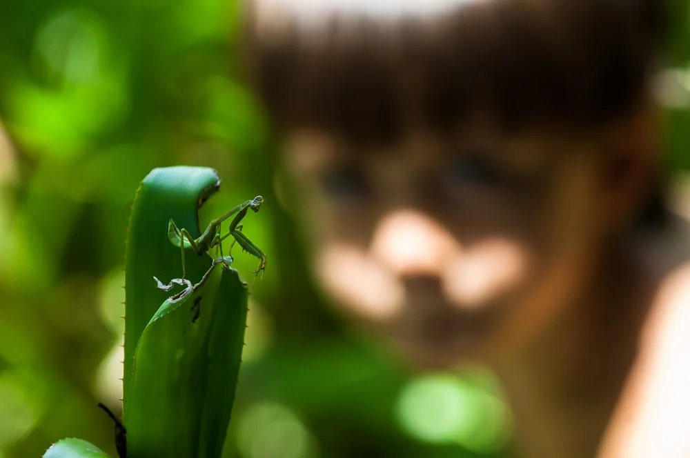  Private Rainforest Refuge - Wildlife observation