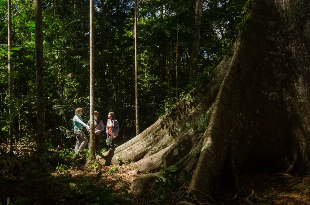 Private Rainforest Refuge - Hiking trail