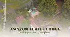 Mais sobre Amazon Turtle